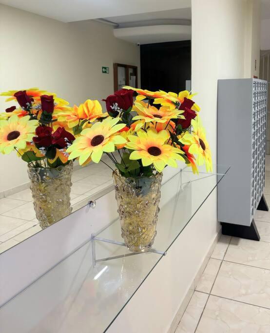 Ape Darcy Ribeiro Apartment บราซิเลีย ภายนอก รูปภาพ
